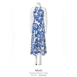Alexis dress